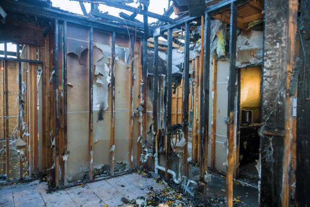 Professional Fire Damage Assessment technician working in Casa de Oro-Mount Helix, CA